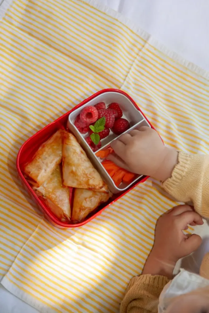 lunchbox samoussa école 